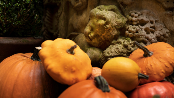 Pumpkins in The Secret Garden at The Witchery