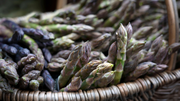 Chef from the Witchery carrying basket of Asparagus