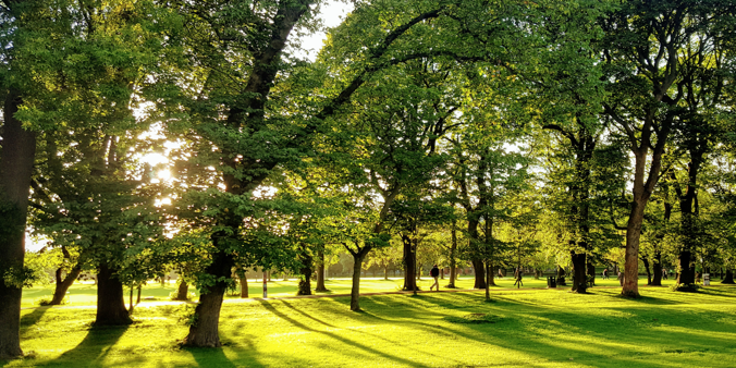 Explore the Meadows in Edinburgh on a summers day