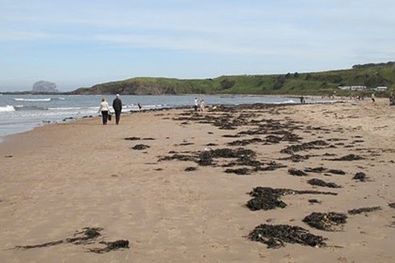 Milsey Bay