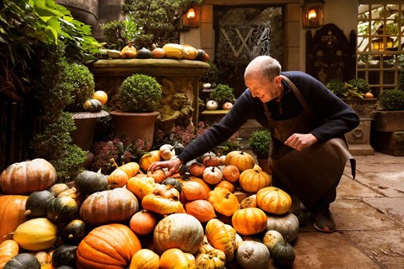 Witchery Pumpkin Displays